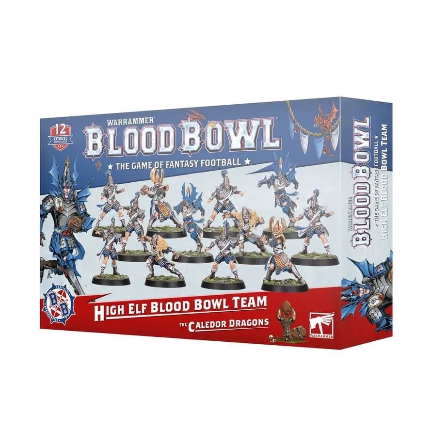 Blood Bowl: The Caledor Dragons - High Elf Team